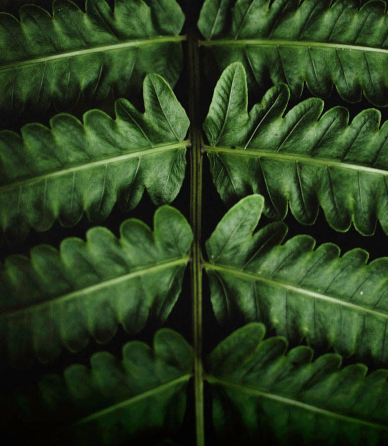 I trend 2018 del settore Garden - 1° parte