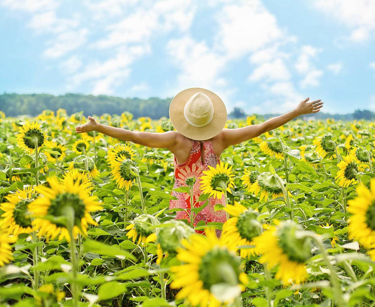 Da Me a Lei - pag. 6