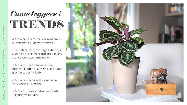 Pag 3 / 49 - GTR 2019