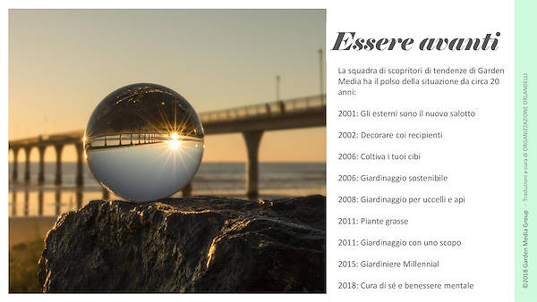 Pag 4 / 49 - GTR 2019