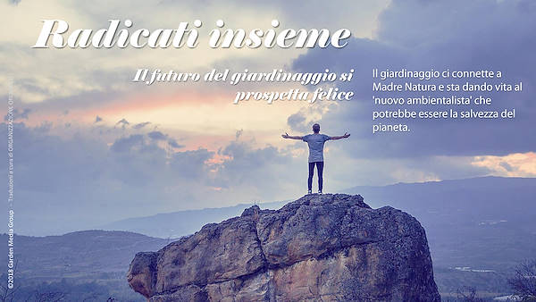 Pag 5 / 49 - GTR 2019