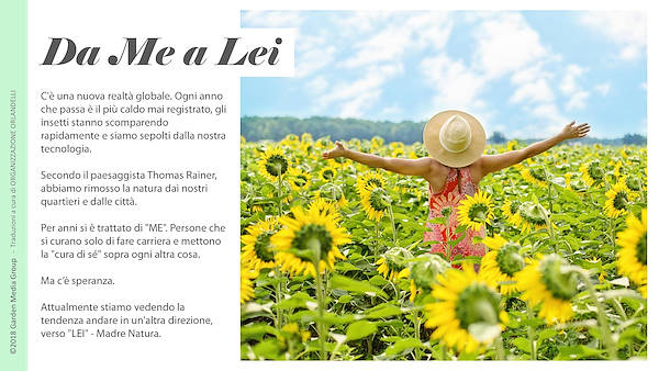 Pag 6 / 49 - GTR 2019