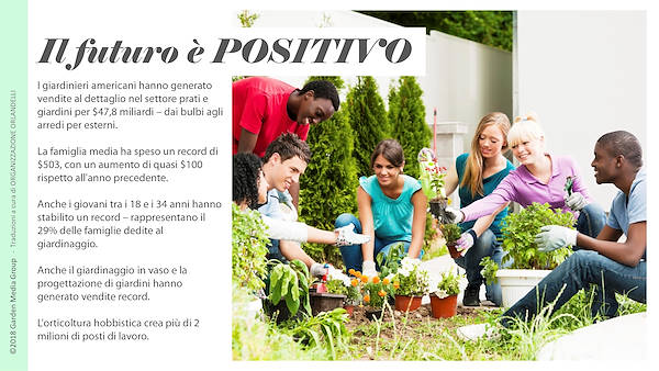 Pag 8 / 49 - GTR 2019