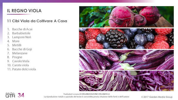 I trend del settore Garden - 2° parte