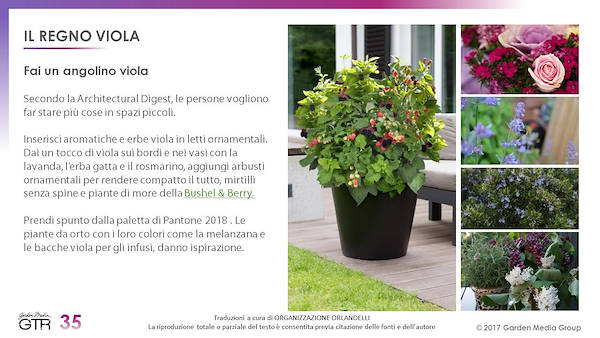 I trend del settore Garden - 2° parte