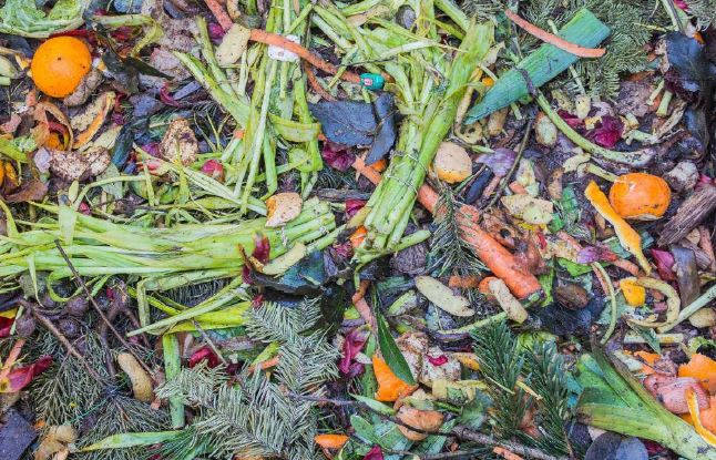 Cos'è il MOVIMENTO? - pag. 25