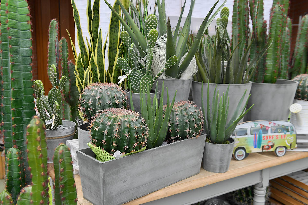 La linea Aeternum di ArtPlast