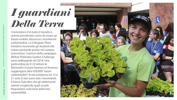 Pag 23 / 49 - GTR 2019