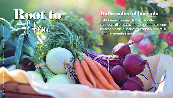 Pag 24 / 49 - GTR 2019