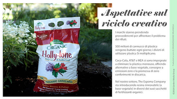 Pag 26 / 49 - GTR 2019