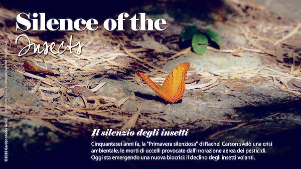 Pag 28 / 49 - GTR 2019