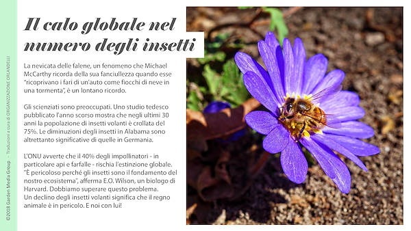 Pag 29 / 49 - GTR 2019