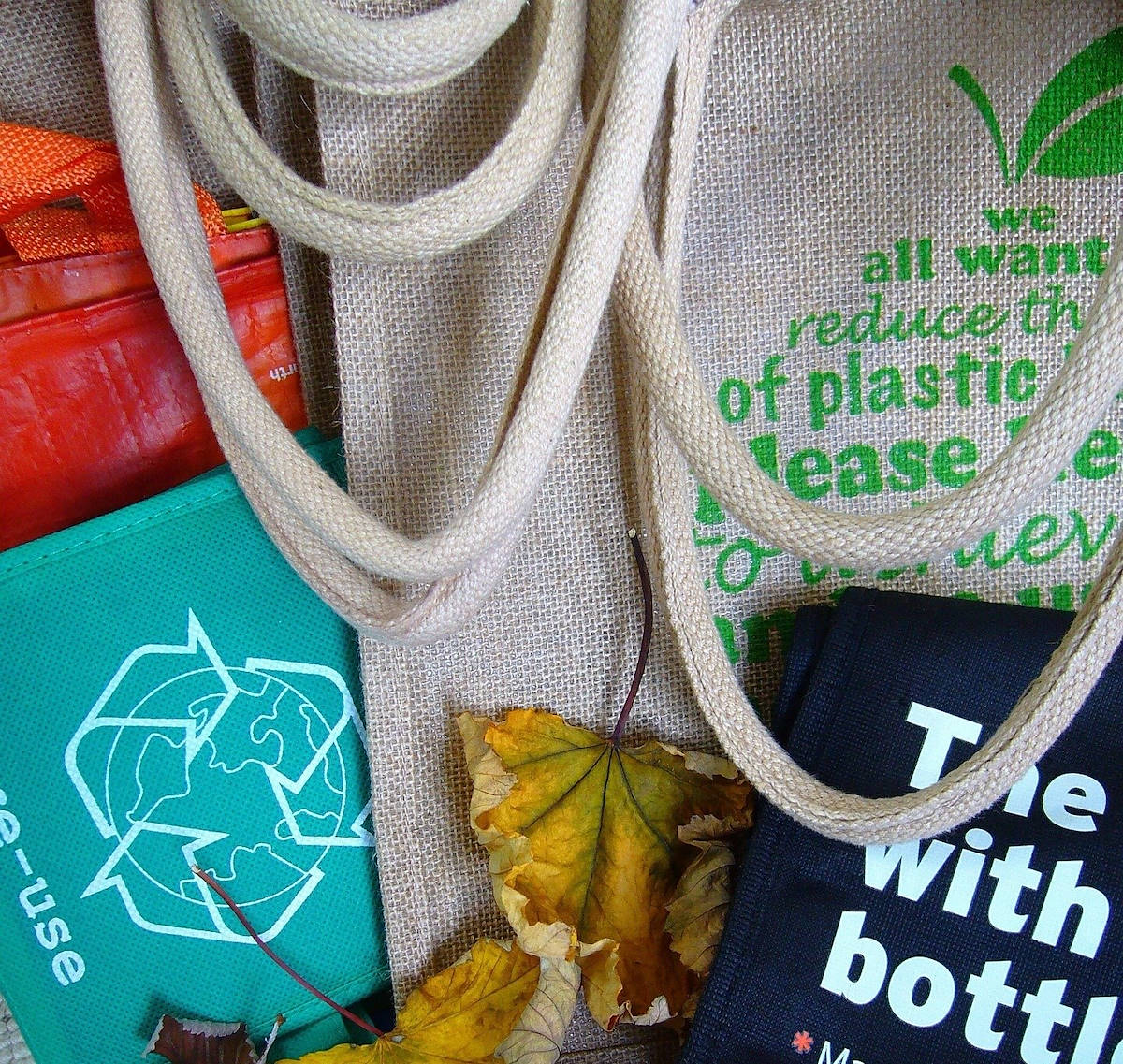 LEADER VERDI – PAG. 15