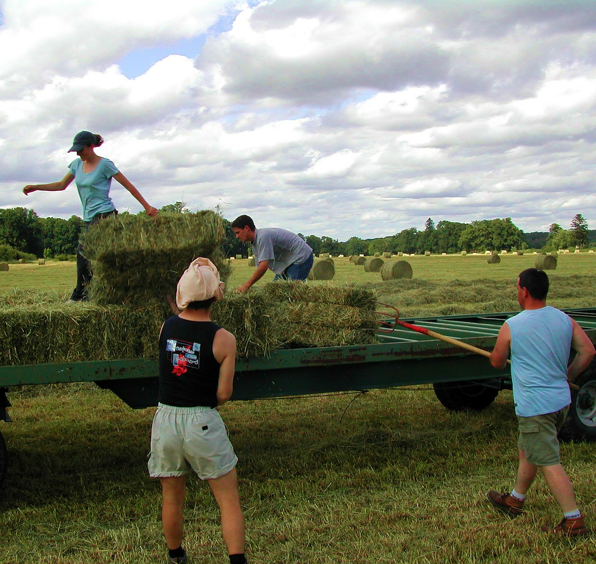 CAMBIAMENTI NELL’EDUCAZIONE – PAG. 18