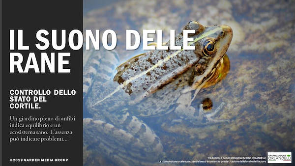 I trends 2020 del settore Garden - Terza parte