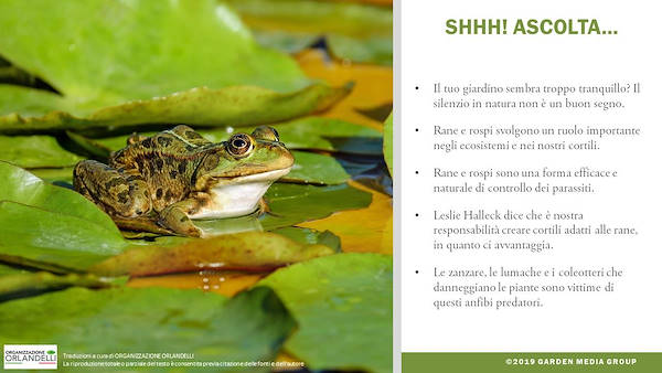 I trends 2020 del settore Garden - Terza parte