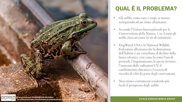 I trends 2020 del settore Garden - Terza parte