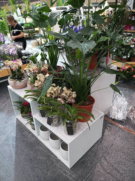 Iberflora 2021: откройте для себя стенд Орланделли