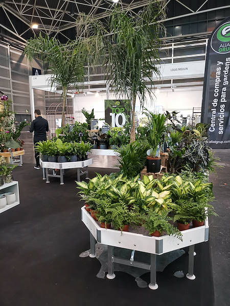 Iberflora 2021: откройте для себя стенд Орланделли