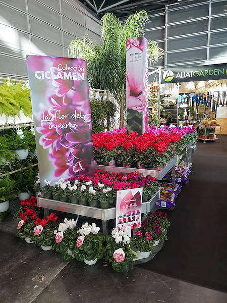 Iberflora 2021: découvrez l'exposition Orlandelli