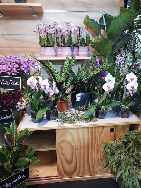 Iberflora 2021: découvrez l'exposition Orlandelli