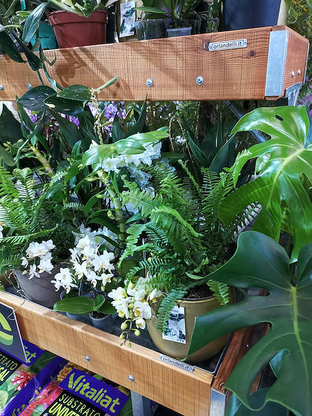 Iberflora 2021: découvrez l'exposition Orlandelli