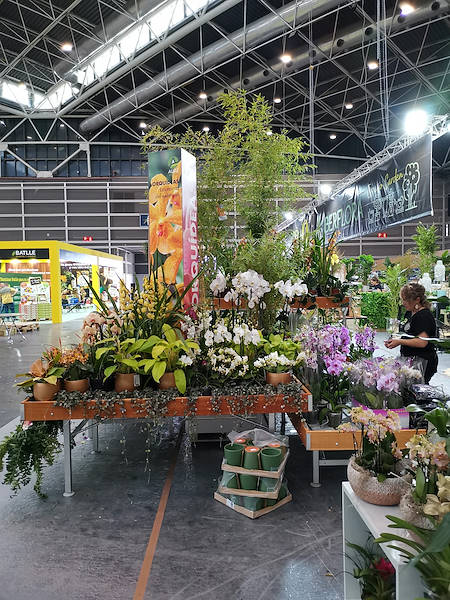 Iberflora 2021: descubre la exposición de Orlandelli por AliatGarden