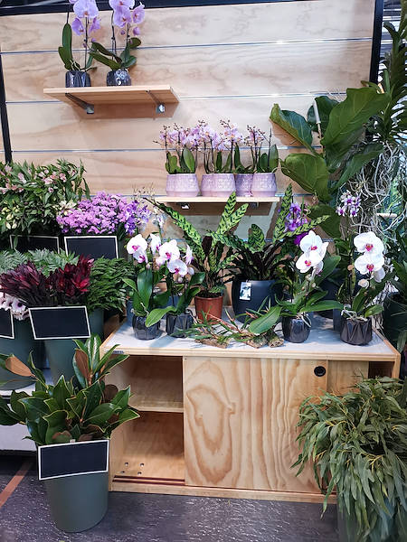 Iberflora 2021: descubre la exposición de Orlandelli por AliatGarden