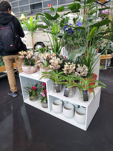 Iberflora 2021: descubre la exposición de Orlandelli por AliatGarden