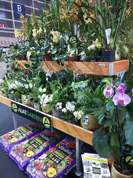 Iberflora 2021: descubre la exposición de Orlandelli por AliatGarden