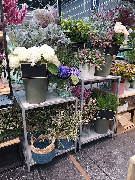 Iberflora 2021: discover the Orlandelli exhibition