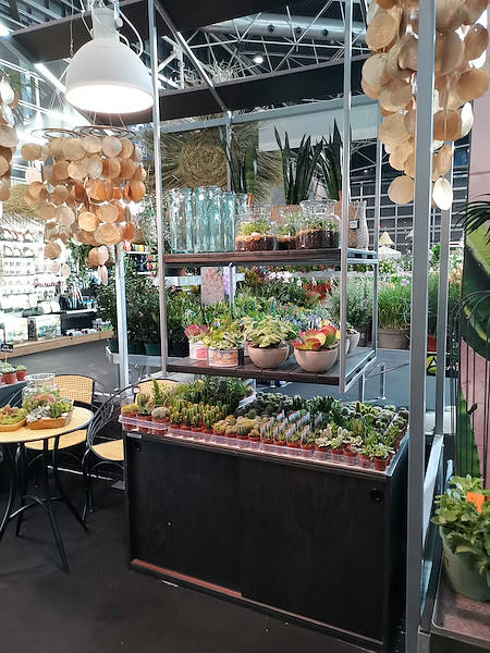 Iberflora 2021: discover the Orlandelli exhibition