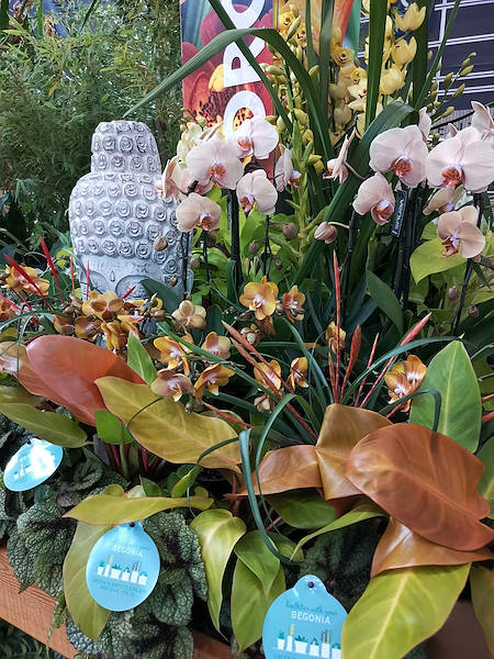 Iberflora 2021: Entdecken Sie die Standausstellung von Orlandelli