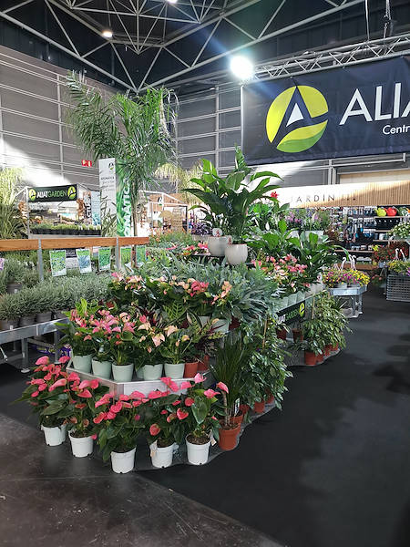 Iberflora 2021: Entdecken Sie die Standausstellung von Orlandelli