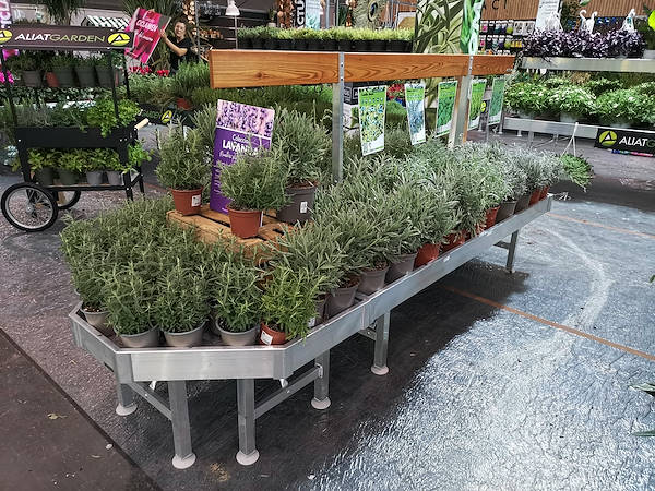 Iberflora 2021: Entdecken Sie die Standausstellung von Orlandelli