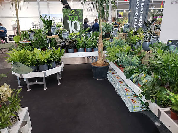 Iberflora 2021: Entdecken Sie die Standausstellung von Orlandelli
