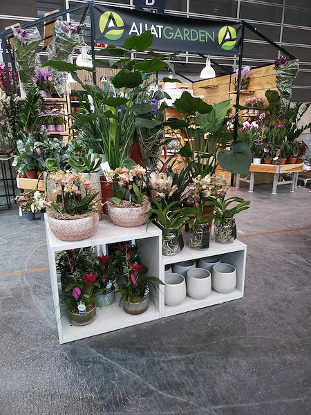 Iberflora 2021: scopri l'esposizione Orlandelli