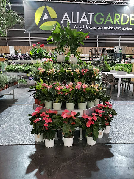 Iberflora 2021: scopri l'esposizione Orlandelli