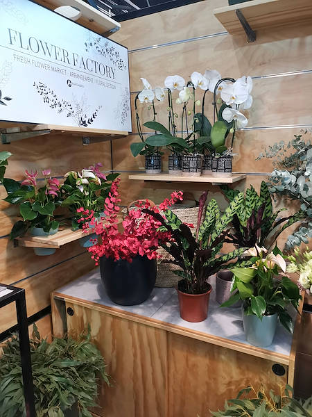 Iberflora 2021: scopri l'esposizione Orlandelli