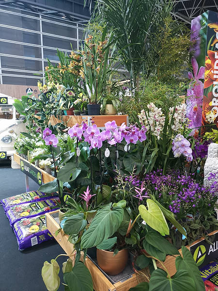 Iberflora 2021: scopri l'esposizione Orlandelli