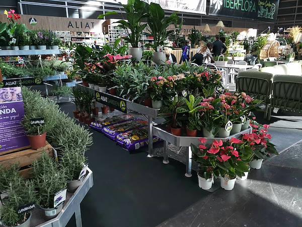 Iberflora 2021: scopri l'esposizione Orlandelli