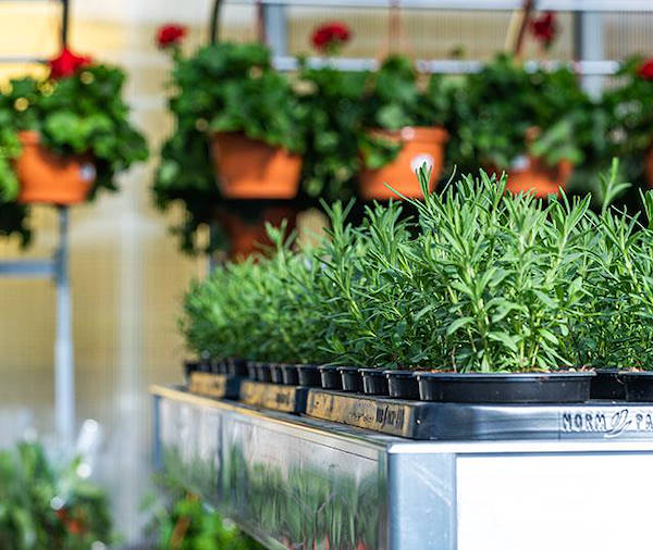 IKEA Litauen wählt die Ausstellungskonzepte der Orlandelli