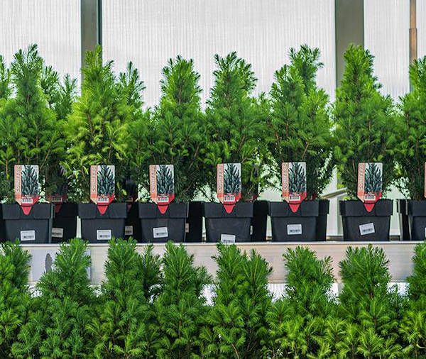 IKEA Lithuania choisit les concepts d'exposition de Orlandelli