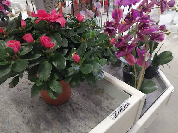 Il nuovo Agri-Garden Fin a Vicenza