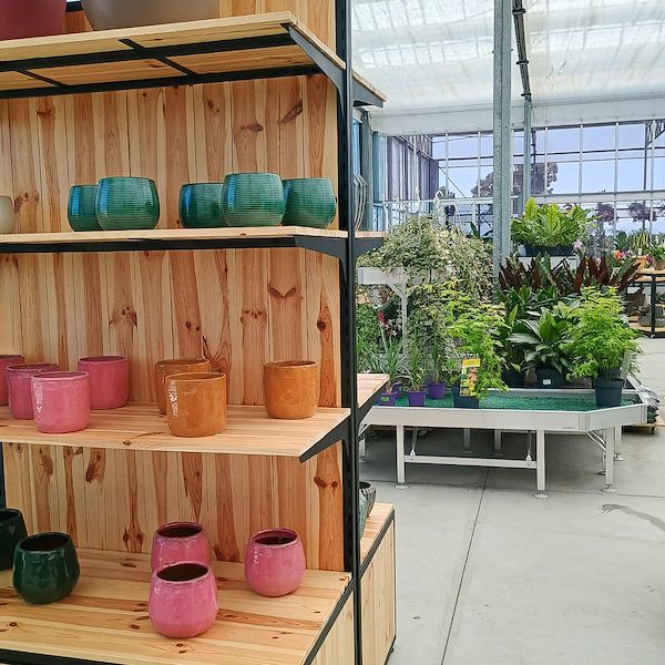 Le nouveau concept d'exposition de Il Punto Verde Cassia à Rome
