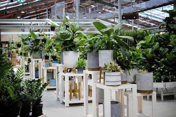 Il nuovo Garden Center Flower Power