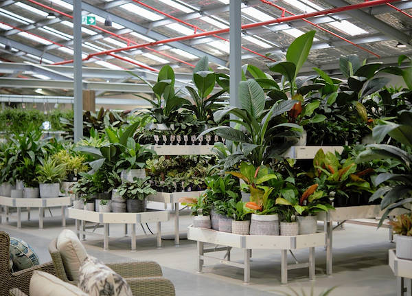 Il nuovo Garden Center Flower Power