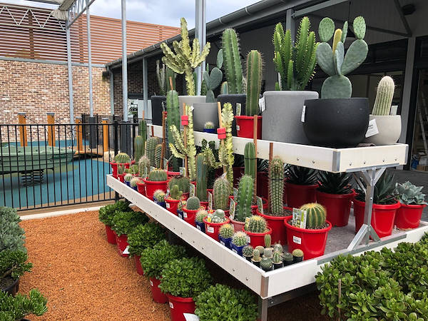 Il nuovo Garden Center Flower Power