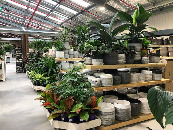 Il nuovo Garden Center Flower Power