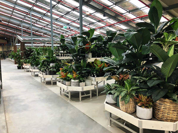 Il nuovo Garden Center Flower Power